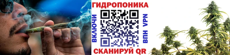 Где можно купить наркотики Щёлково Амфетамин  mega онион  Codein  Каннабис  ГАШИШ  Кокаин 